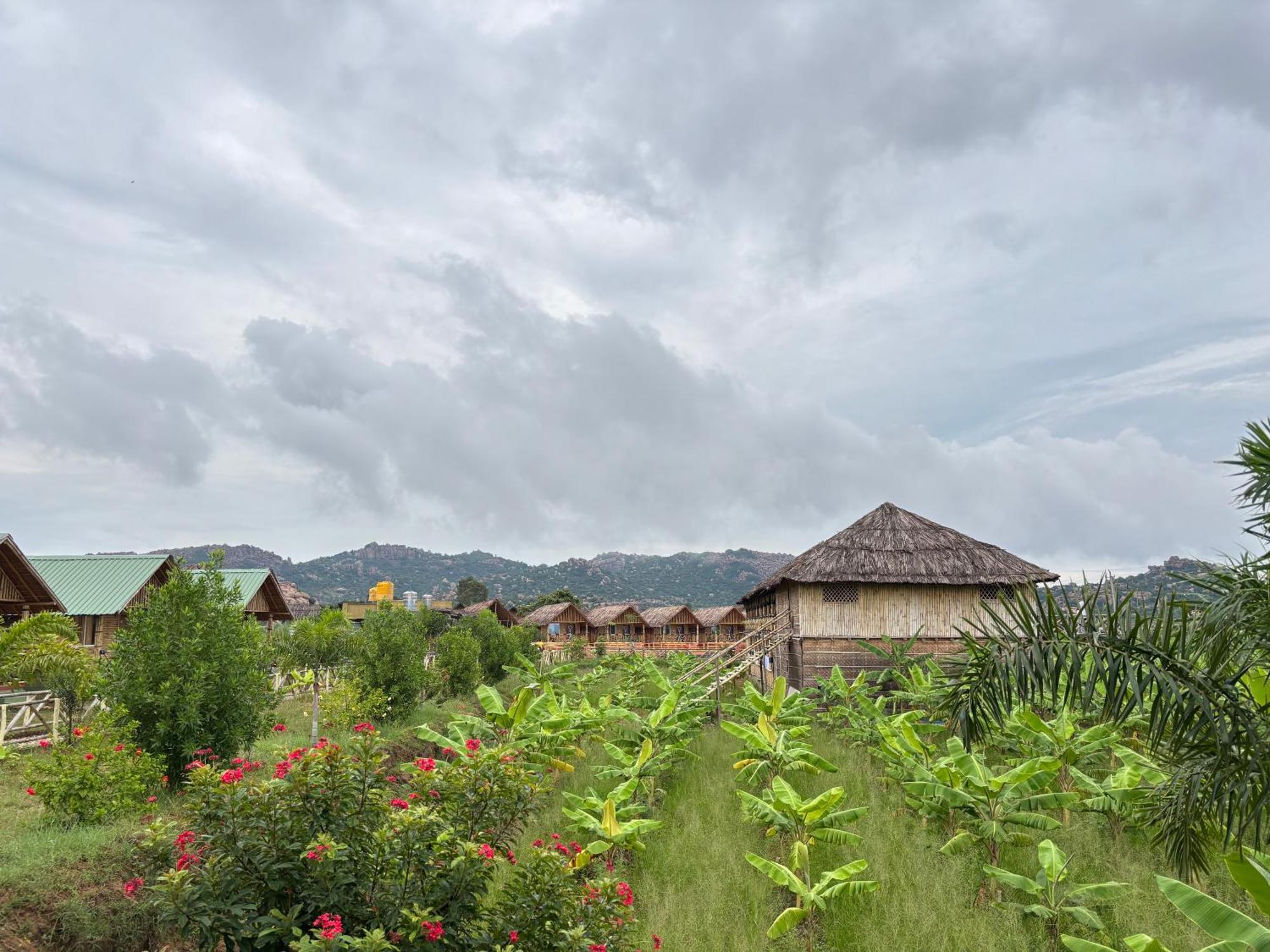 Mowgli'S Cafe Hampi & Guest House المظهر الخارجي الصورة