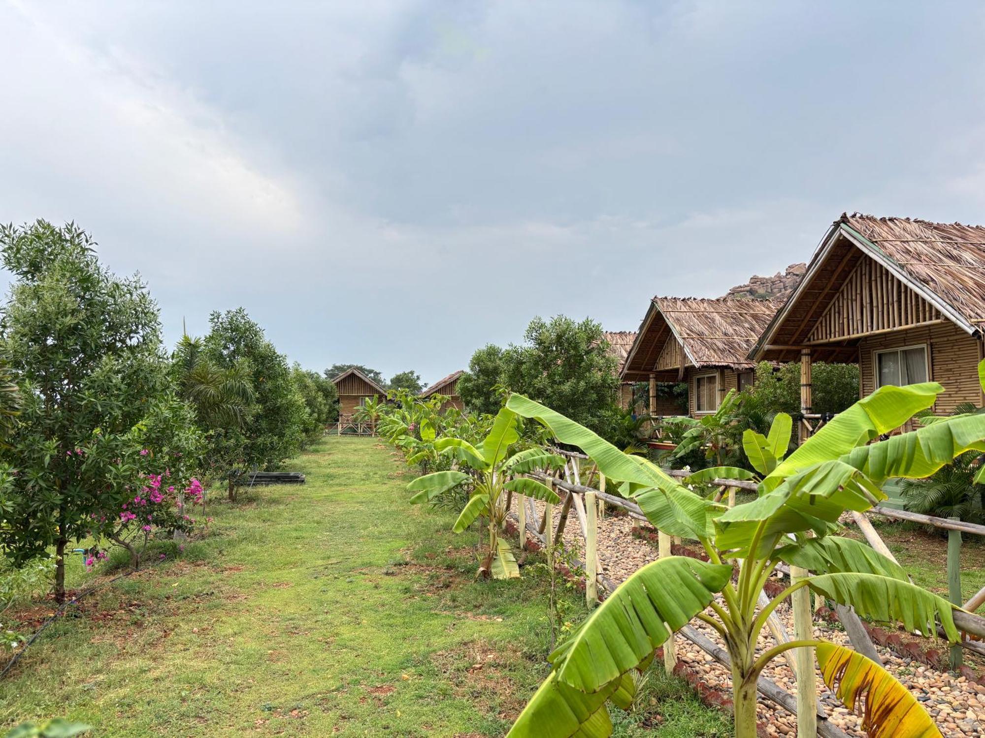 Mowgli'S Cafe Hampi & Guest House المظهر الخارجي الصورة